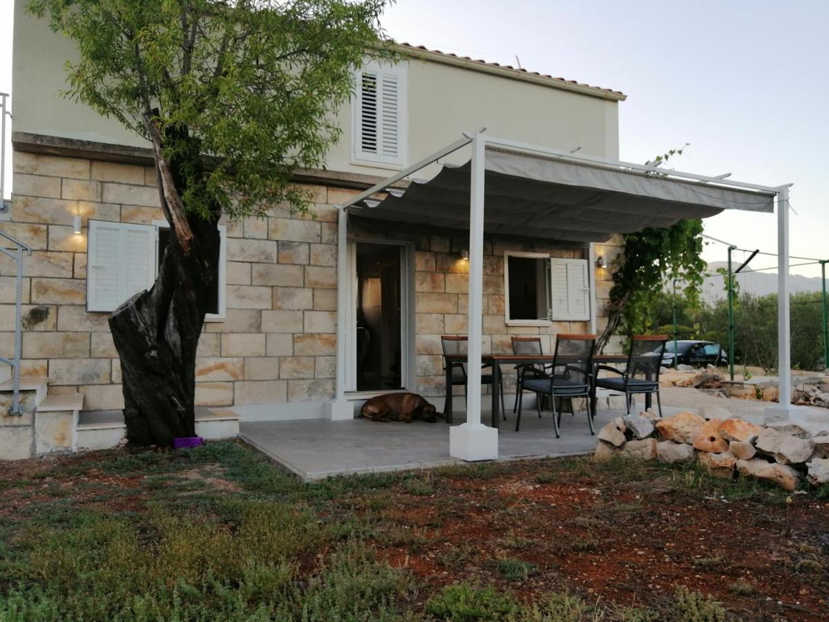 Villa Olive Grove House Lumbarda Exterior foto